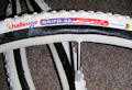 chalenge grifo WM
