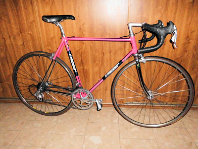 Moser Leader